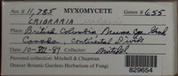 Image Associated With the Occurence